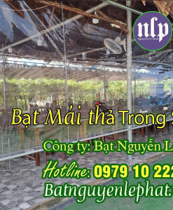 Bạt thả trong suốt che nắng mưa