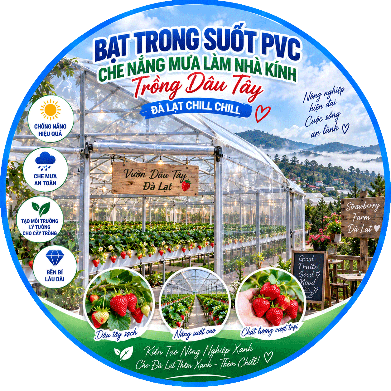 bat-trong-suot-che-mua-nang